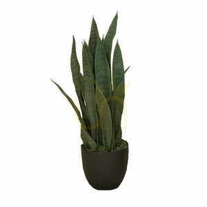 Plantă artificială Sansevieria Zelenica 65cm small 0