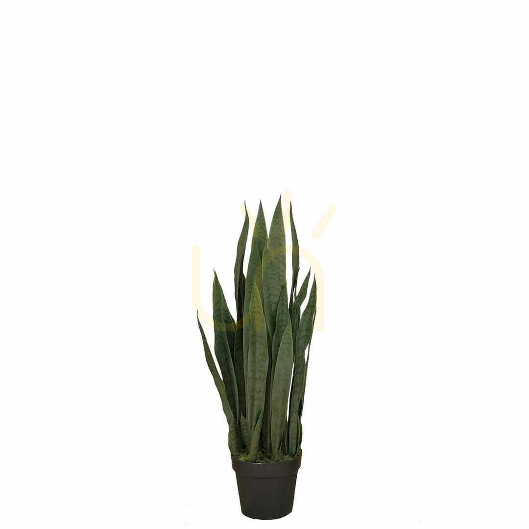 Vedere Plantă artificială Sansevieria Zelenica 90cm Plantă artificială Sansevieria Zelenica 90cm