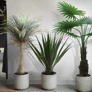 Plantă decorativă Agave Americana 100cm small 1