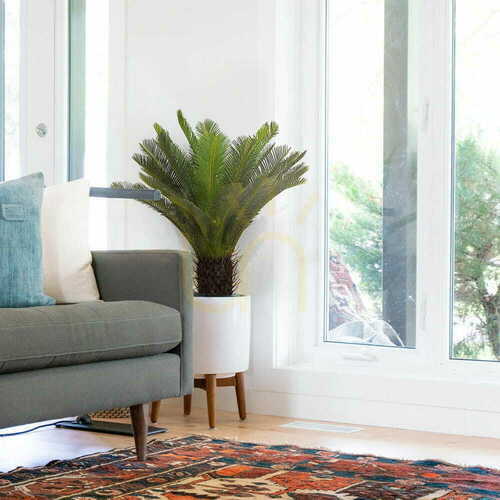 Verifica Plantă artificială Sagittarius Cycas 80cm