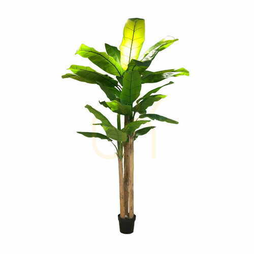 Verifica Artificial Banana Tree 250cm