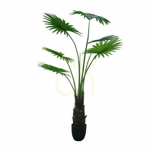 Verifica Palmier artificial în ghiveci Washingtonia Robusta 160cm