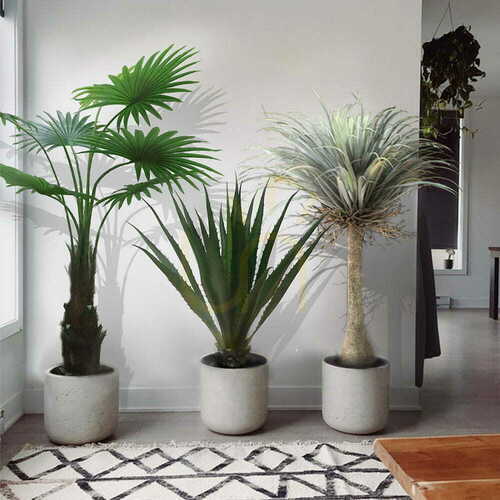 Verifica Palmier artificial în ghiveci Washingtonia Robusta 140cm