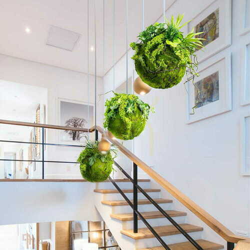 Verifica Moss Ball kokedama 25 cm