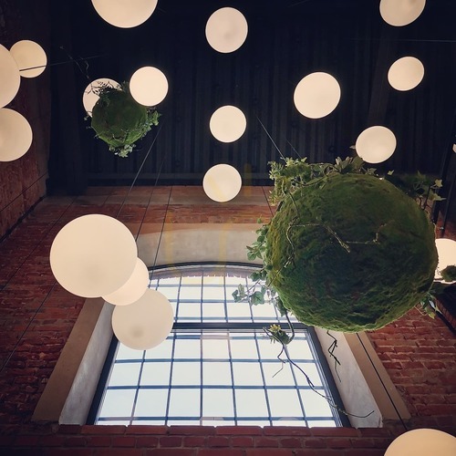 Verifica Kokedama Hanging Moss Ball 35cm