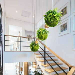 Kokedama decorativ Moss Ball 35 cm small 1
