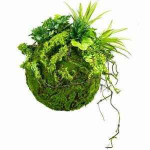 Kokedama decorativ Moss Ball 35 cm small 0