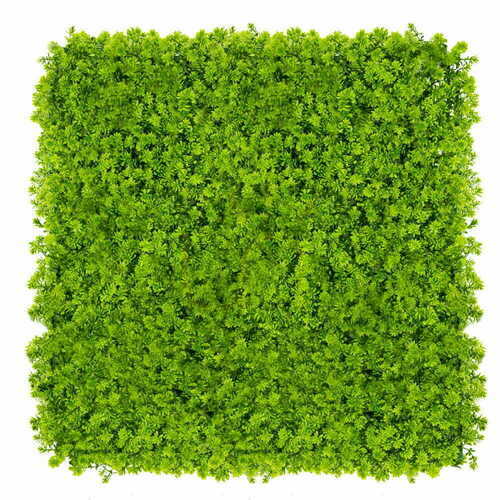 Verifica Hamei de perete verde 40x60cm