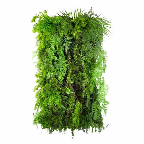 Verifica Grădină verticală Green Designers Limba Wilderness GD119 50 × 100 cm