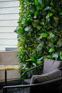 Grădină verticală Tropical Freshness small 2
