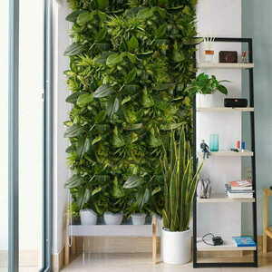 Grădină verticală Tropical Freshness small 3