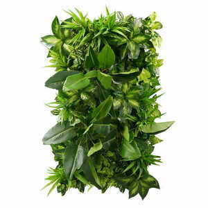 Grădină verticală Tropical Freshness small 0