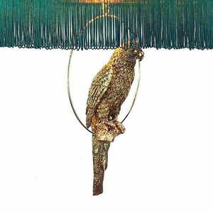 BUENAVISTA Las Plumas small 1