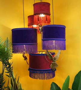 CAIMAN Las Plumas small 3