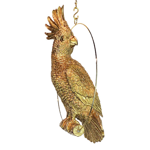 Verifica FIGURA XL Nr. 1 Las Plumas.
