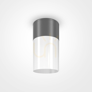 WILLIS plafoane în aer liber O418CL-01GR IP54 Maytoni small 0