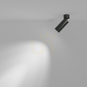 FOCUS LED plafon C055CL-L12B4K-W-D-B Maytoni small 4
