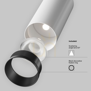 Proiector LED pe șină alb Maytoni FOCUS TR021-1-12W4K-W-W 12 W 900 lm 4000 K 50° small 6