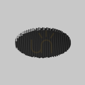 Filtru antiorbire Maytoni Focus LED HoneyComb-D50 50 mm negru small 0
