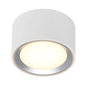Spot LED aplicat pe tavan Nordlux Fallon 47540132 Moodmaker™ alb/oțel 10 cm small 1
