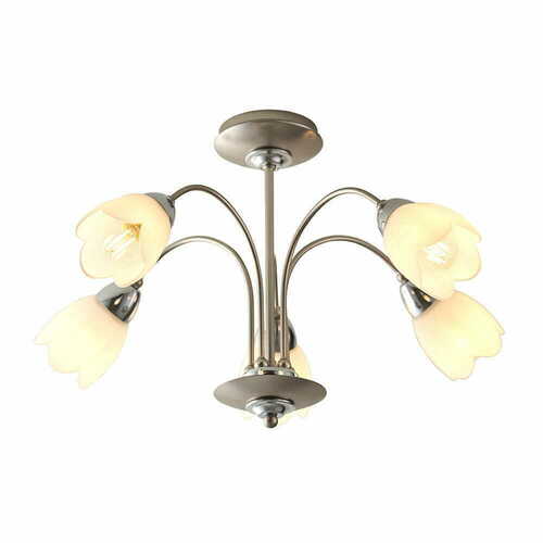 Verifica Plafonieră Endon Petal 5 becuri E14 crom/alb 54 cm