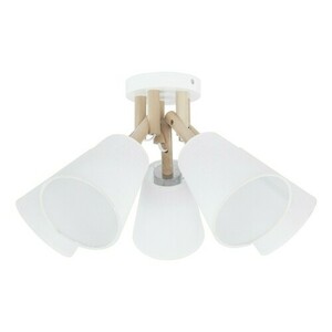 Vaio White Ceiling Lamp 5 Pł. small 0