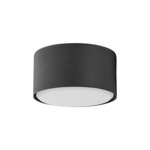 Lampă de tavan Dallas Black 1 Pł. small 0