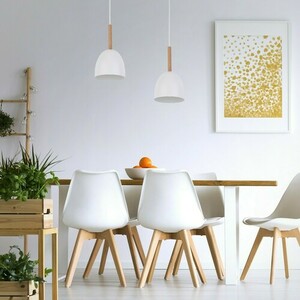 Lampă cu pandantiv Nord White 1 Pł small 1