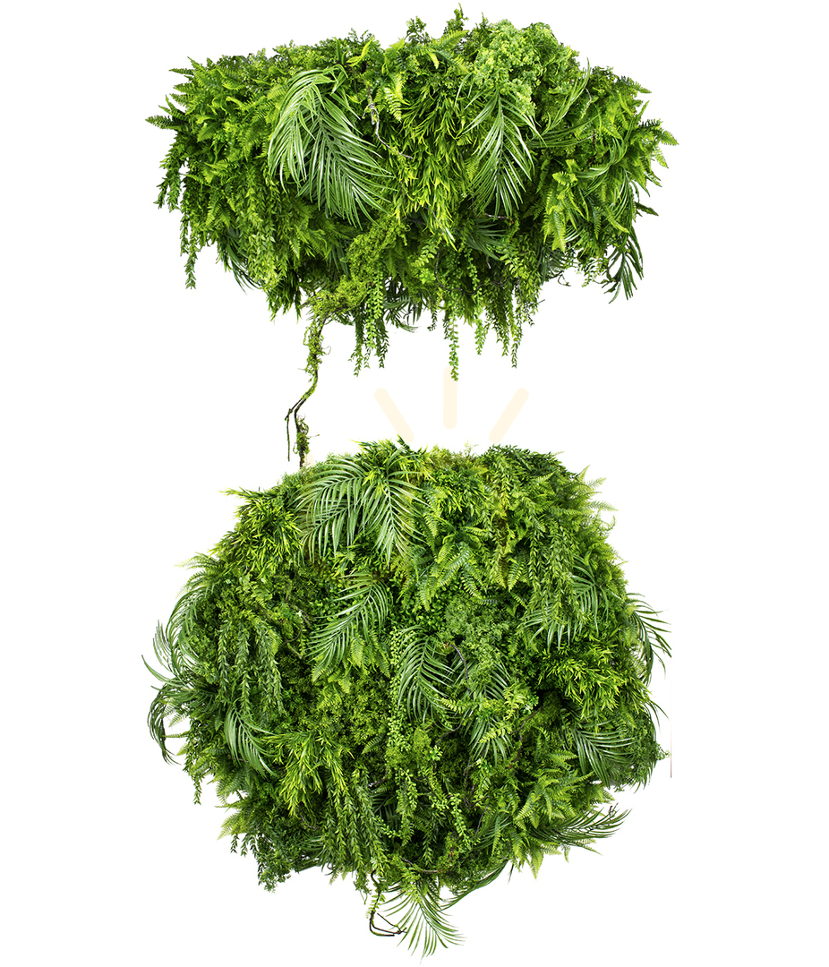 Vedere Plafon suspendat Green Sway 60cm Plafon suspendat Green Sway 60cm