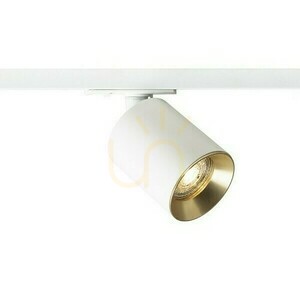 Dario Spotlight Pentru 1 fază. Balustrade Alamă alb periat 230 V Gu10 9 W. small 5