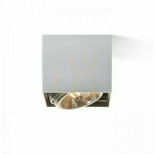 Spot Dean I aluminiu periat 230 V/12 V G53 50 W. small 2