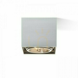 Spot Dean I aluminiu periat 230 V/12 V G53 50 W. small 3