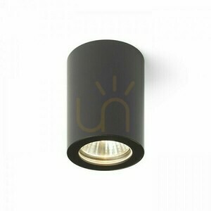 Plafonieră aplicată Rendl LOLA 88 neagră GU10 15 W IP54 R13542 small 5