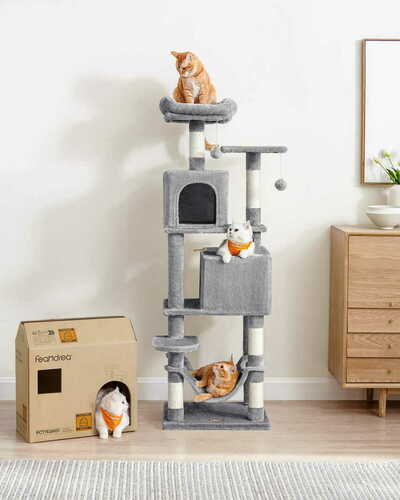 Verifica Scratcher - PCT192W01