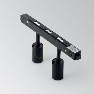 Spot pe șină LED Ideallux EGO Track Double 5W 3000K negru 257624 2 Spot pe șină LED Ideallux EGO Track Double 5W 3000K negru 257624 small 2