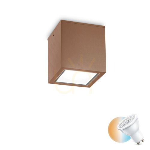 Verifica Plafonieră exterior Ideallux TECHO PL1 BIG COFFEE maro GU10 15 cm 251547