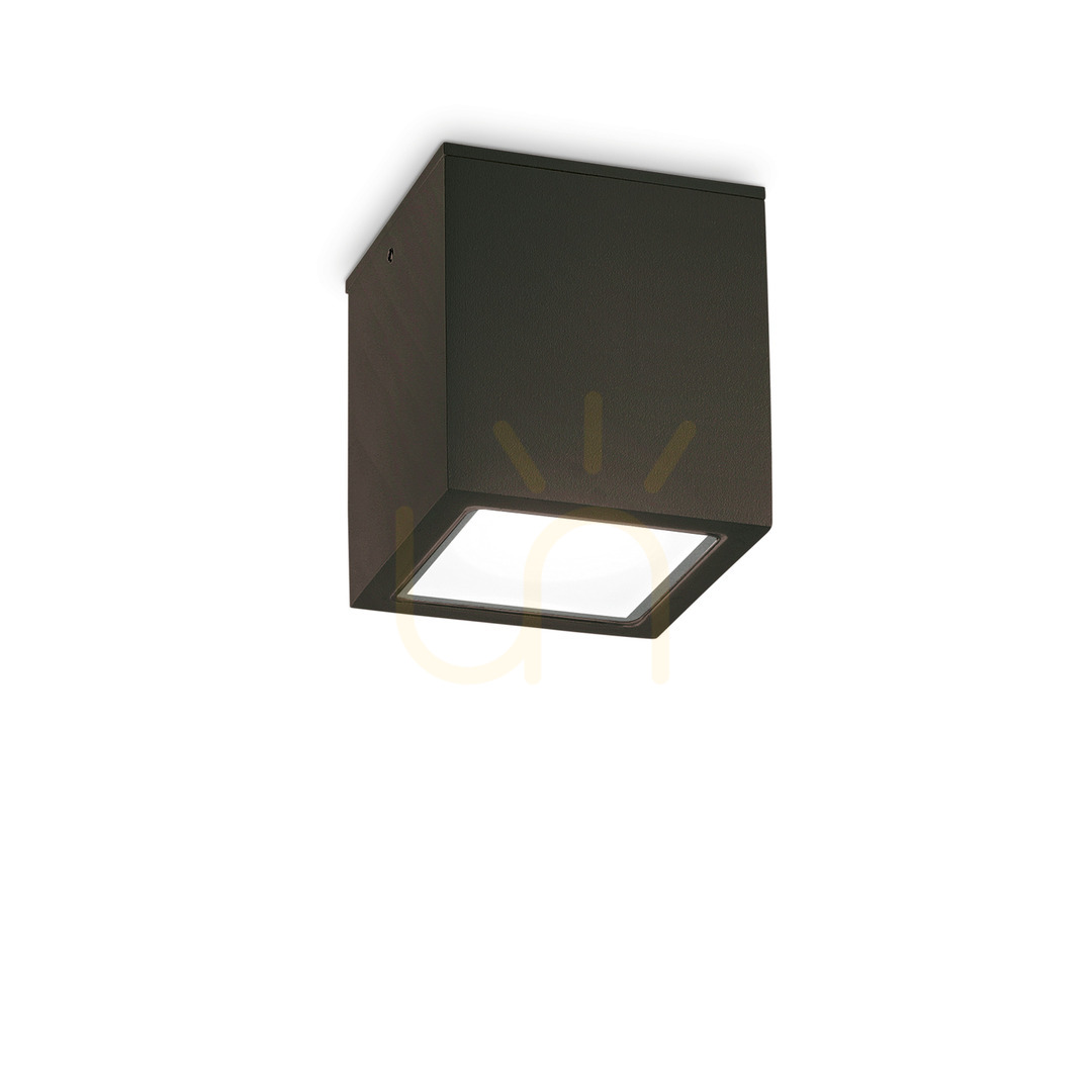 Afişa Plafonieră exterior Ideallux TECHO PL1 BIG negru GU10 IP54 15 cm 251530 Plafonieră exterior Ideallux TECHO PL1 BIG negru GU10 IP54 15 cm 251530