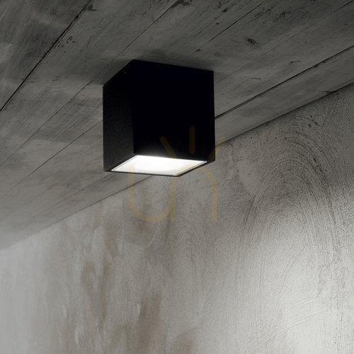 Verifica Plafonieră exterior Ideallux TECHO PL1 Small antracit GU10 IP54 251554