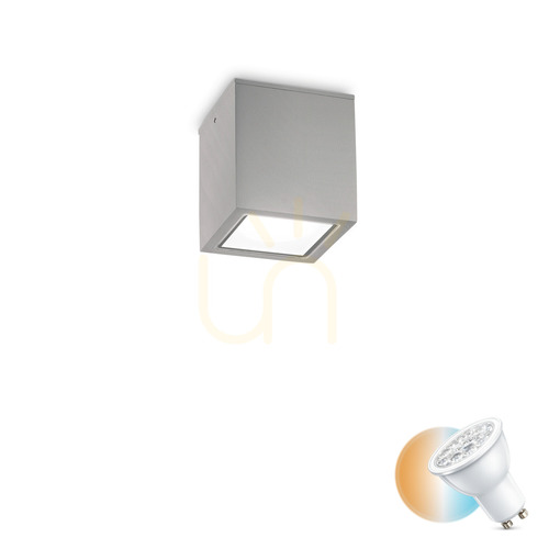 Verifica Plafon exterior Ideallux TECHO PL1 Small gri GU10 IP54 9 cm 326894