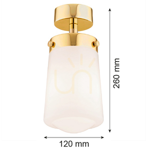 Plafonieră Argon Pasadena 8005 alb lucios și alamă E27 IP44 small 4