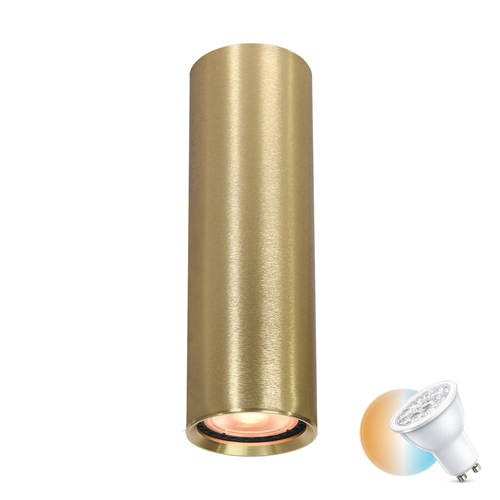Verifica Lampă de suprafață Italux Lopus aur GU10 aluminiu CLN-48930-M-GD