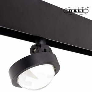 Spot pe sina magnetic Max Light MAX M0018D negru LED 8W 3000K DALI small 0