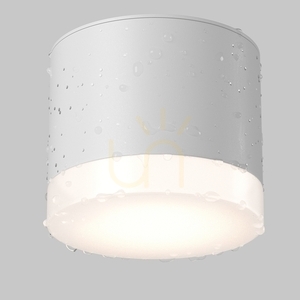 PAULINE Plafond C087CL-GX53-W IP44 Maytoni small 4
