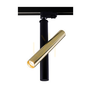 Spot Antigo Akadi R2 din alamă lustruită/negru LED MR11 34,3 cm 8895 small 0