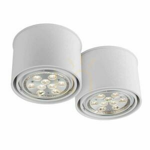 Plafonieră Antigo Miki 2 alb LED ES111 29x14,5 cm 7019 0 Plafonieră Antigo Miki 2 alb LED ES111 29x14,5 cm 7019 small 0