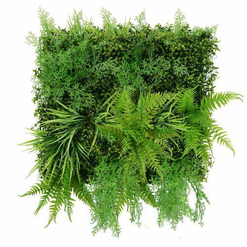 Verifica Sequoia Plant Wall 50x50cm