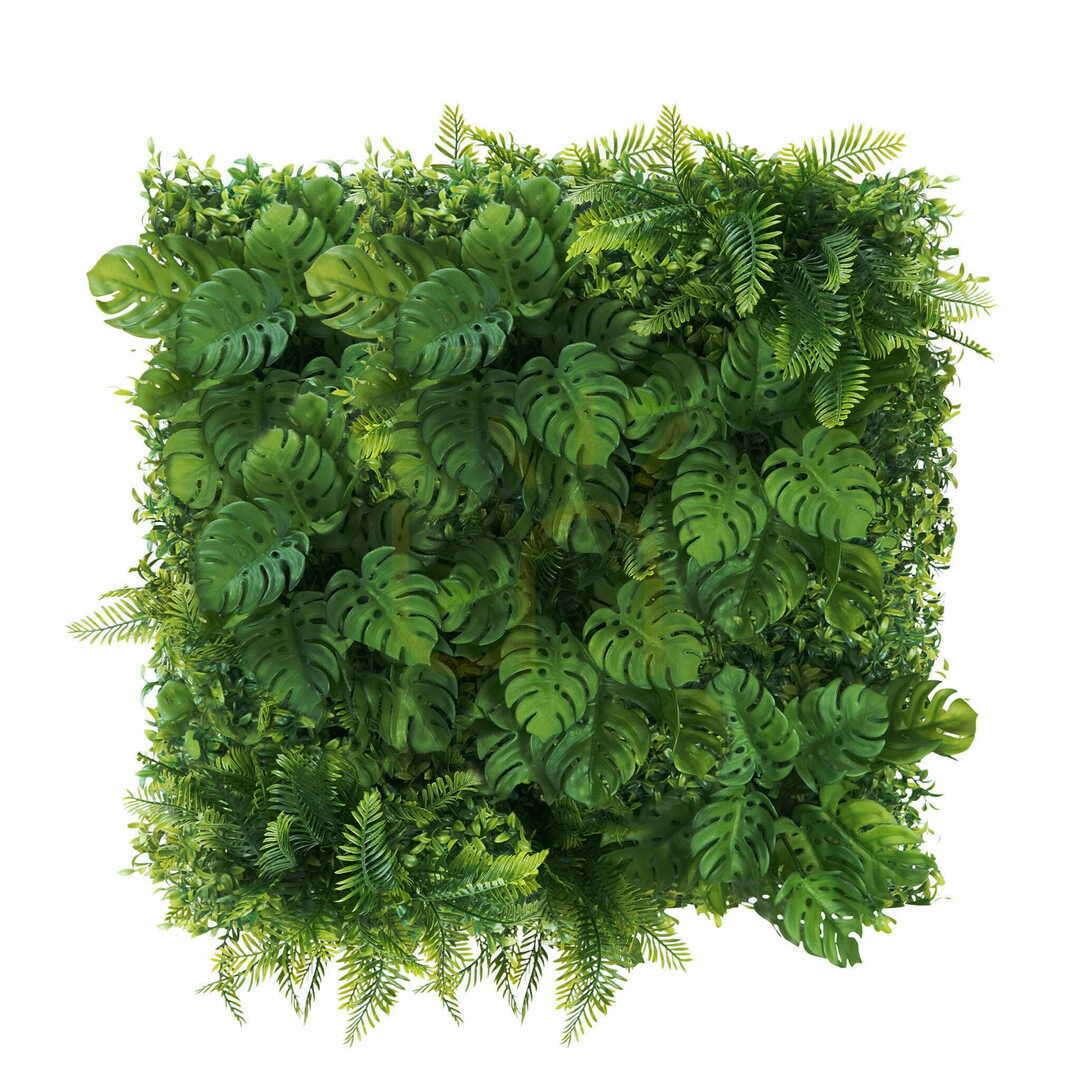 Verifica Monstera verde de perete 50x50cm Monstera verde de perete 50x50cm