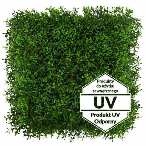Verifica Buxus verde artificial UV mat 50x50cm