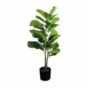 Plantă decorativă Ficus 90cm 0 Plantă decorativă Ficus 90cm small 0