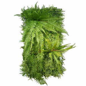 Grădină verticală artificială Green Designers Forest GD 302 small 0